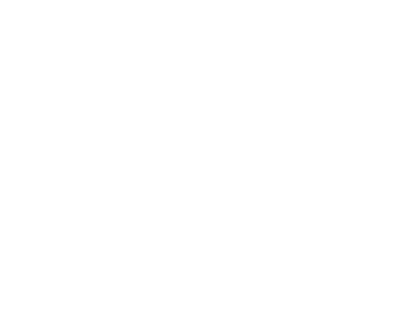 Portfolio management and value creation • Procurement • General Insurances • Employee Benefits • Risk Management • Po...